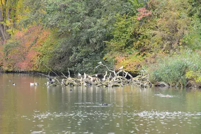 DSC_0567 (Large).JPG